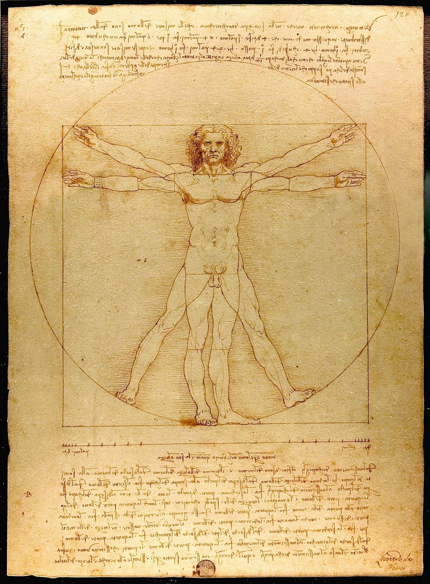 Vitruvian man